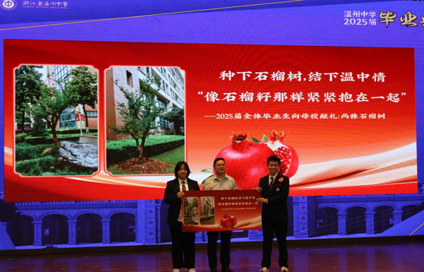 图片15.png